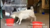 640x360