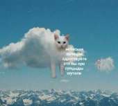 540x489