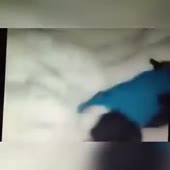 360x360