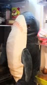 576x1024