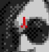 230x241