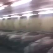 360x360