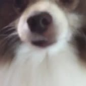 360x360