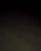 292x360