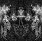 800x785