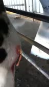 204x360