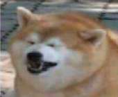 400x331