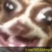 360x360