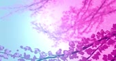 1280x680