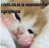 723x720
