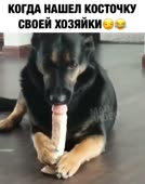 480x608