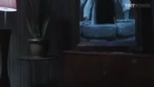 480x272