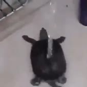 360x360