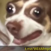360x360