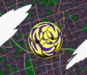 256x224
