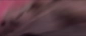 1280x544