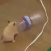 360x360
