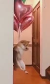 360x600