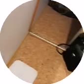 240x240