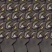 400x400