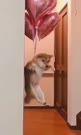 360x600