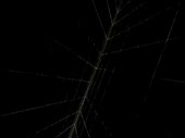 320x240