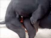 400x300