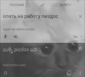490x442