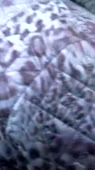 202x360