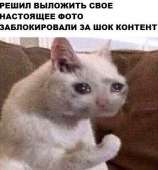 396x424