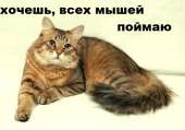 569x399