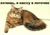 569x399