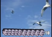 490x360