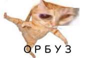 426x294