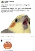 533x772