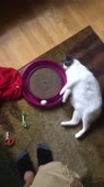 360x640