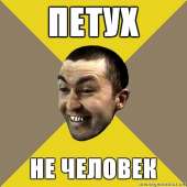 500x500