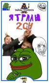 320x532