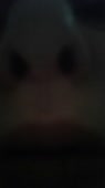 270x480
