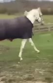 360x558