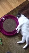 360x640