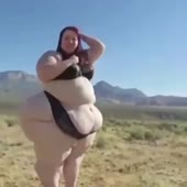 360x360