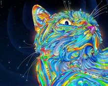 600x480
