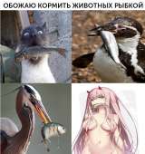 700x741