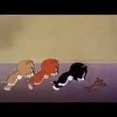 360x360