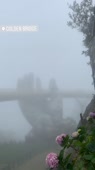 640x1136