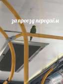 720x960