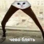 540x540