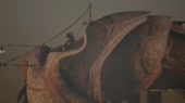 640x360