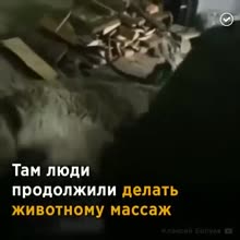 360x360